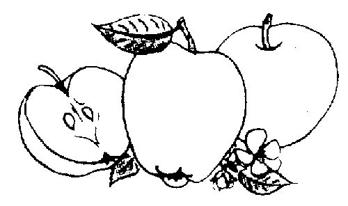 Нарисованные фрукты